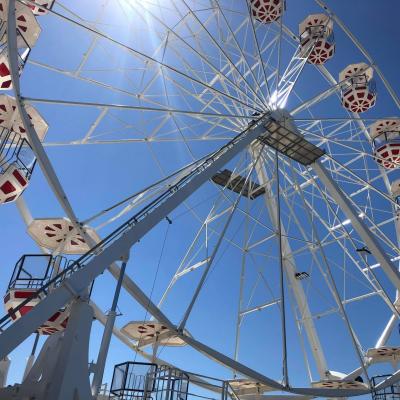 Grande roue 30 m 1 