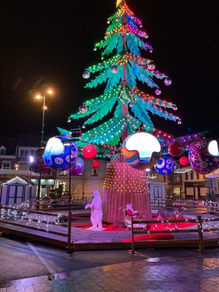 Manege sapin gravelines 2021 3 