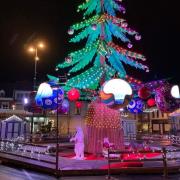 Manege sapin gravelines 2021 3 