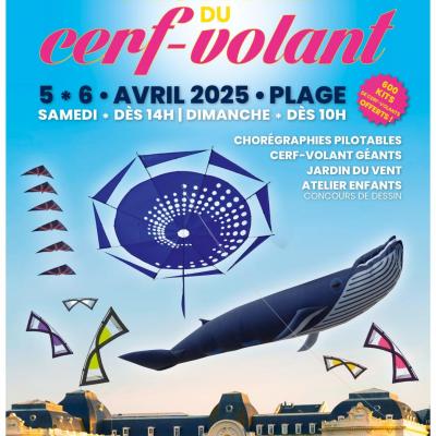 Cerfs volant trouville