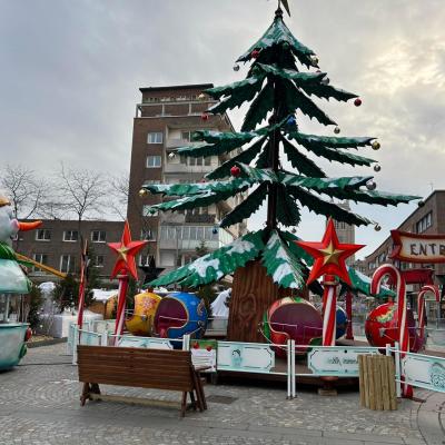 Manege sapin 16m 1