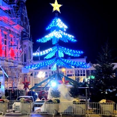 Manege sapin 16m