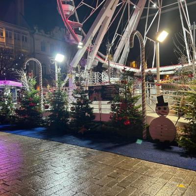 Mini grande roue douai 4