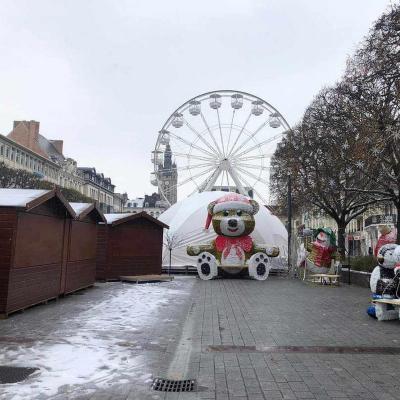 Mini grande roue douai 6